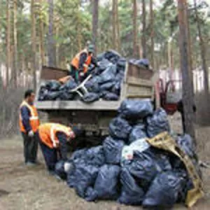 Вывоз и утилизация строительного мусора.285-66-48