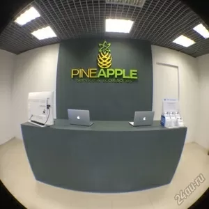 PineApple - специализированный ремонт техники Apple