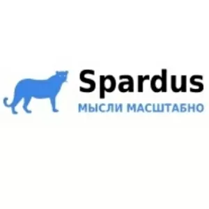 SEO-оптимизация и аналитика сайтов - Spardus Team