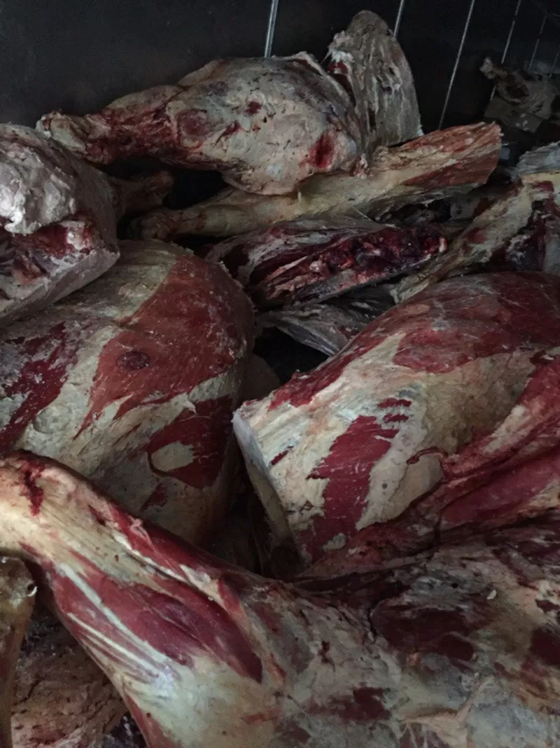 Мясо (Говядина,  Свинина,  Баранина) оптом из Хакасии от производителя.